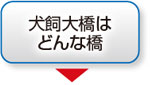 犬飼大橋はどんな橋