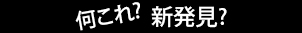 何これ？新発見？