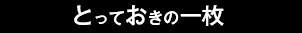 とっておきの一枚